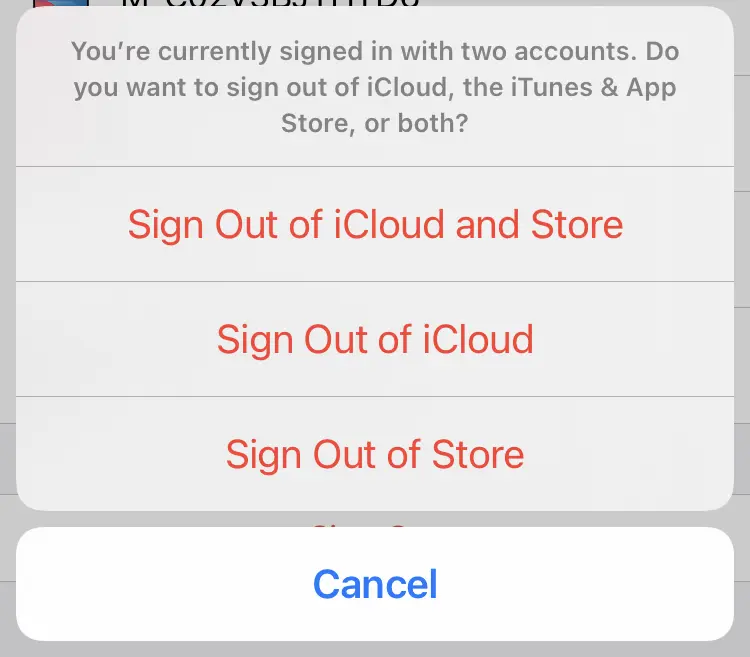 
If you have a different account for iCloud and Store, it is enough to Sign Out if iCloud.
